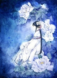 剑中传奇